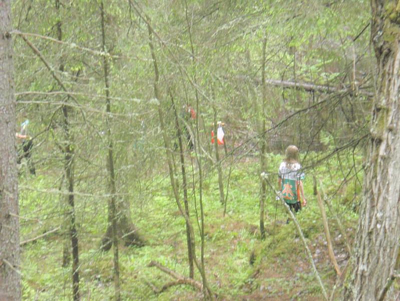 Leimaus2010 114.jpg
